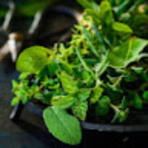 Meet your Posher, Cora